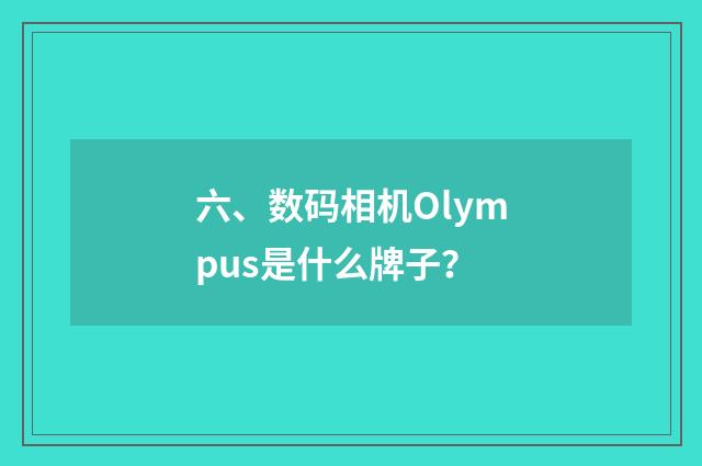 六、数码相机Olympus是什么牌子？