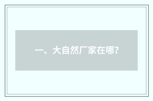 一、大自然厂家在哪？
