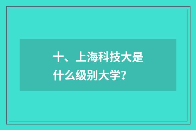 十、上海科技大是什么级别大学?