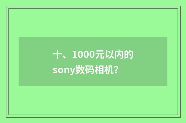 十、1000元以内的sony数码相机?