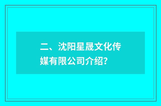 二、沈阳星晟文化传媒有限公司介绍？