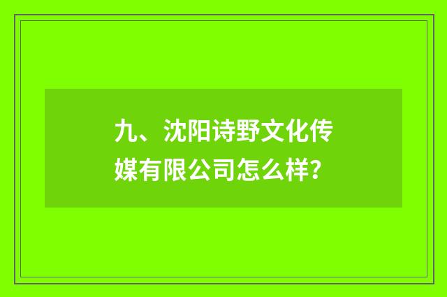九、沈阳诗野文化传媒有限公司怎么样?