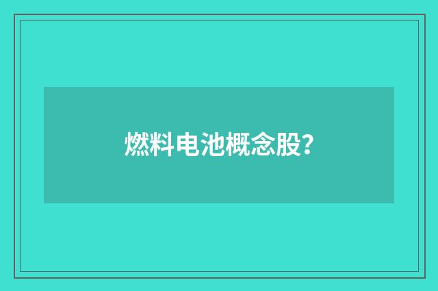 燃料电池概念股？