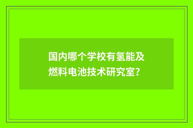 国内哪个学校有氢能及燃料电池技术研究室?