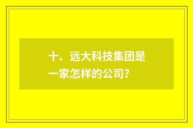 十、远大科技集团是一家怎样的公司?
