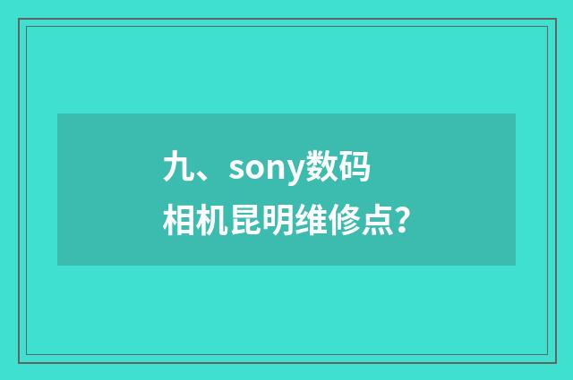 九、sony数码相机昆明维修点？