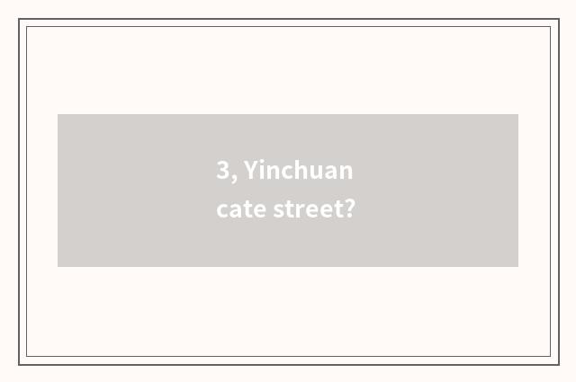 3, Yinchuan cate street?