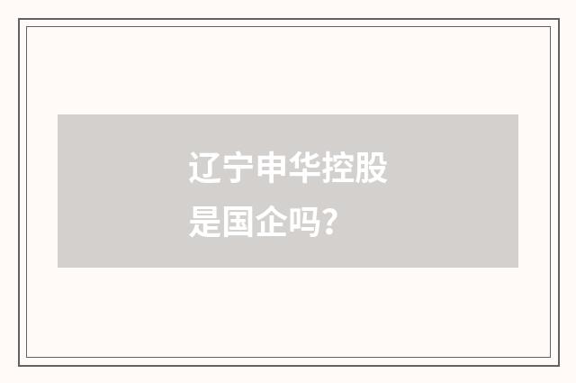 辽宁申华控股是国企吗？