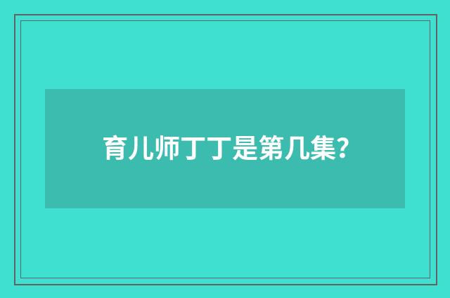 育儿师丁丁是第几集？