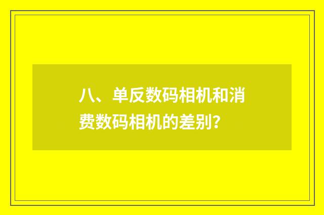 八、单反数码相机和消费数码相机的差别?