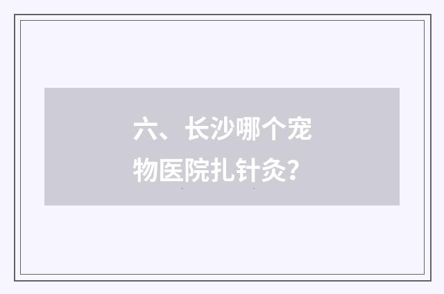六、长沙哪个宠物医院扎针灸?