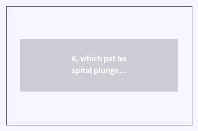 6, which pet hospital plunges into Changsha acupuncture?