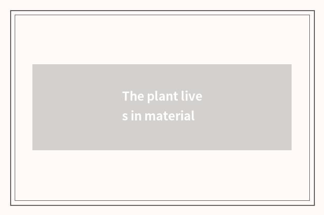 The plant lives in material