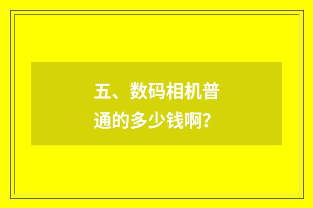 五、数码相机普通的多少钱啊？