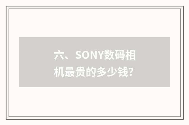 六、SONY数码相机最贵的多少钱？