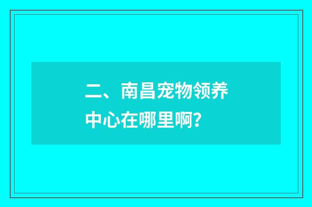二、南昌宠物领养中心在哪里啊？