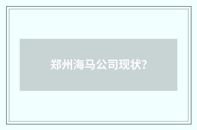 郑州海马公司现状?