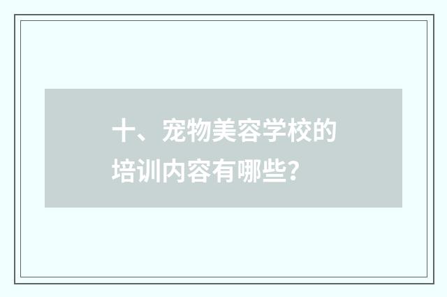 十、宠物美容学校的培训内容有哪些？