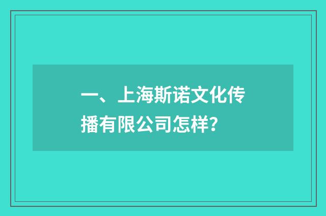一、上海斯诺文化传播有限公司怎样？