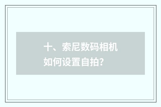 十、索尼数码相机如何设置自拍？