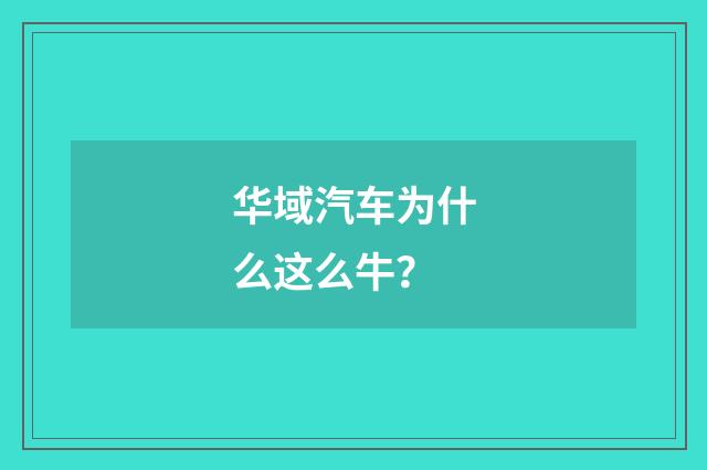 华域汽车为什么这么牛?