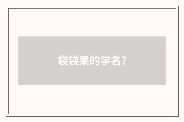 袋袋果的学名？