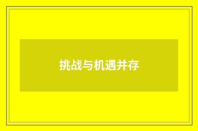 挑战与机遇并存