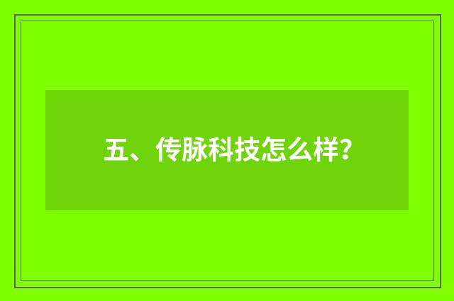 五、传脉科技怎么样?