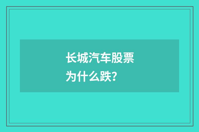 长城汽车股票为什么跌?