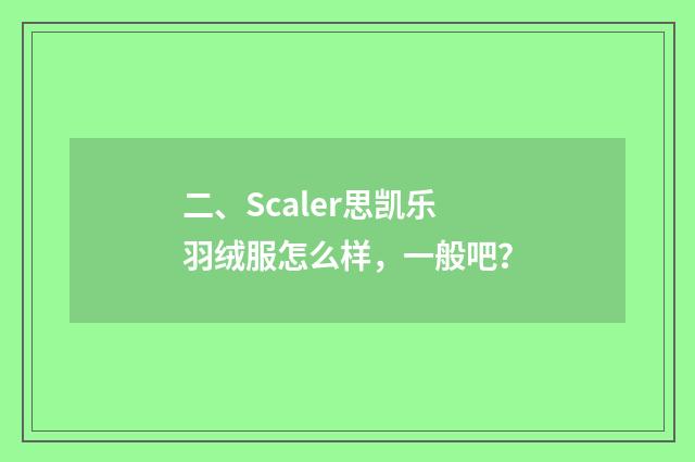 二、Scaler思凯乐羽绒服怎么样，一般吧？