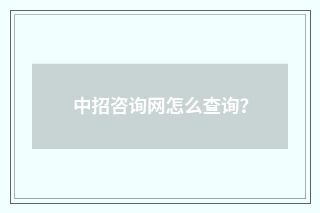 中招咨询网怎么查询？
