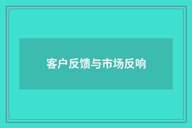 客户反馈与市场反响