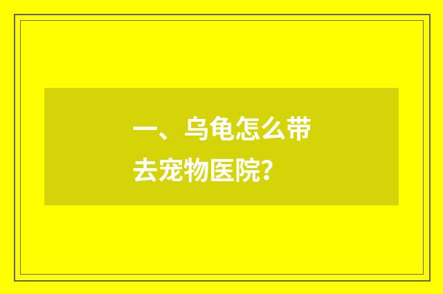 一、乌龟怎么带去宠物医院？