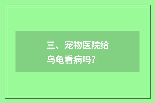 三、宠物医院给乌龟看病吗？