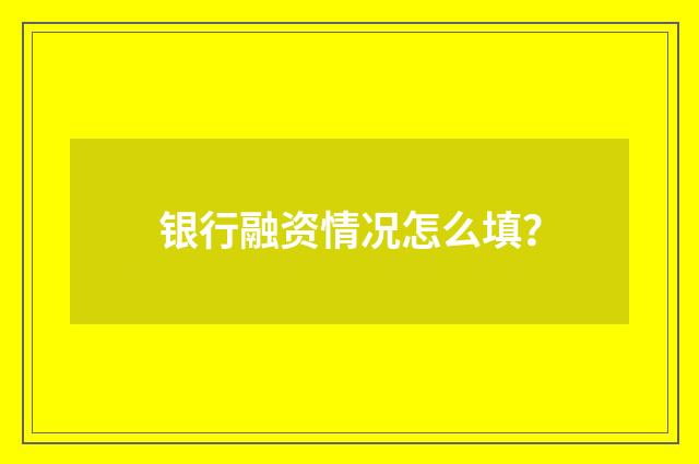 银行融资情况怎么填?