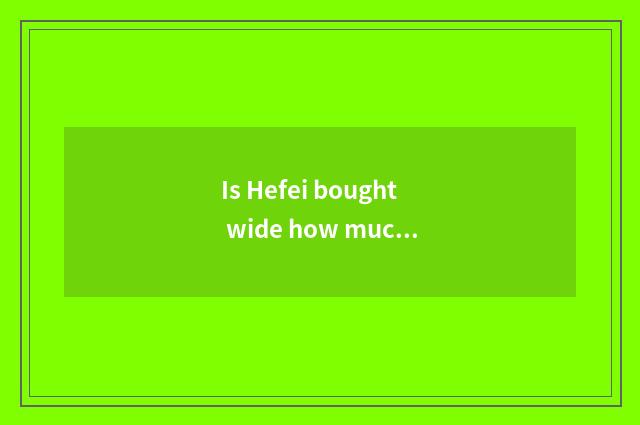 Is Hefei bought wide how much is this car loan interest rate?