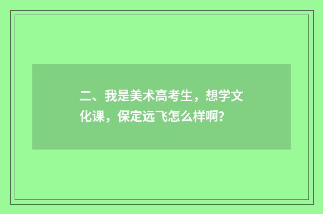 二、我是美术高考生，想学文化课，保定远飞怎么样啊？