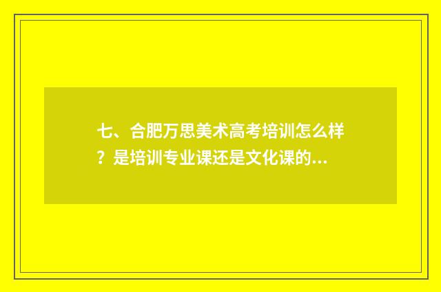 七、合肥万思美术高考培训怎么样？是培训专业课还是文化课的？