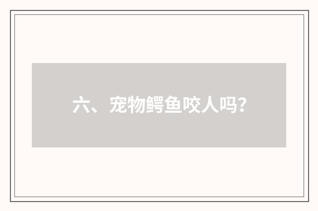 六、宠物鳄鱼咬人吗？