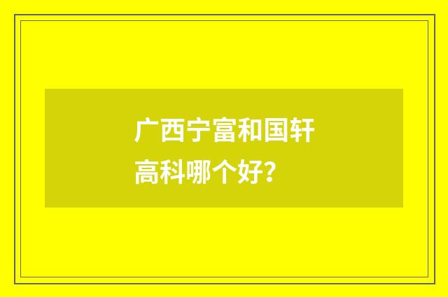 广西宁富和国轩高科哪个好?