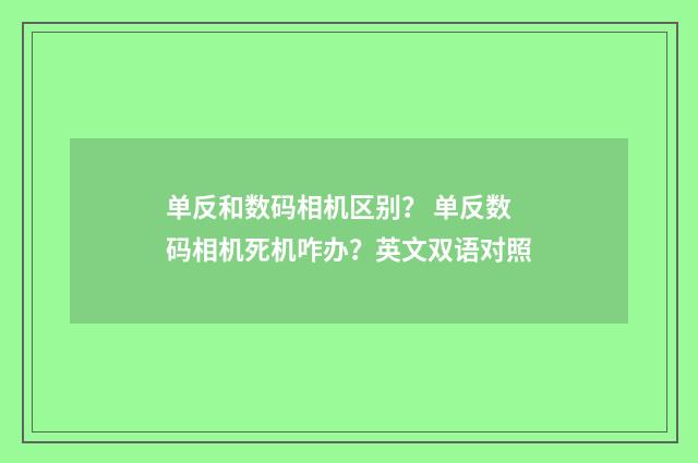 单反和数码相机区别? 单反数码相机死机咋办?英文双语对照
