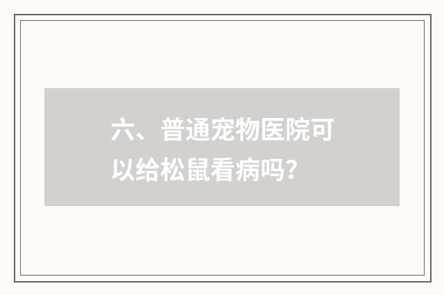 六、普通宠物医院可以给松鼠看病吗？