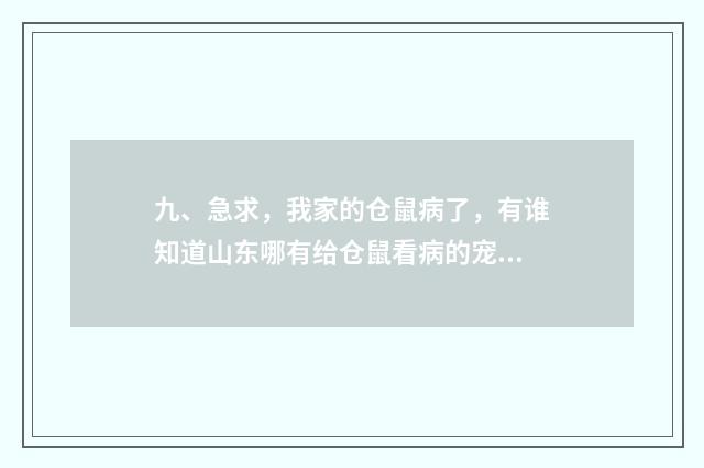 九、急求,我家的仓鼠病了,有谁知道山东哪有给仓鼠看病的宠物医院?