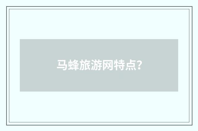 马蜂旅游网特点？