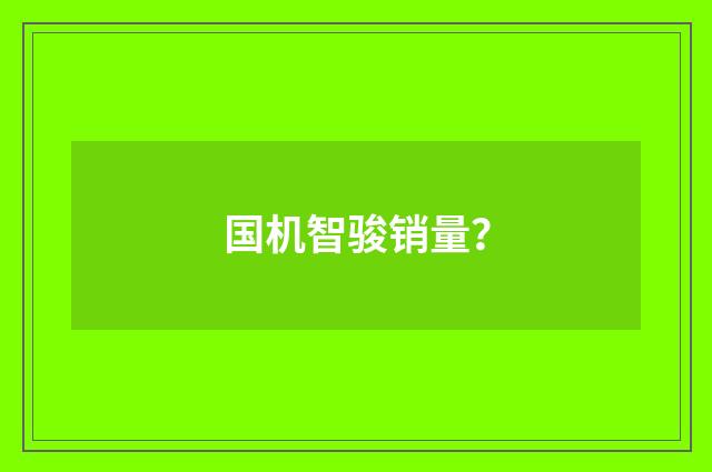 国机智骏销量?