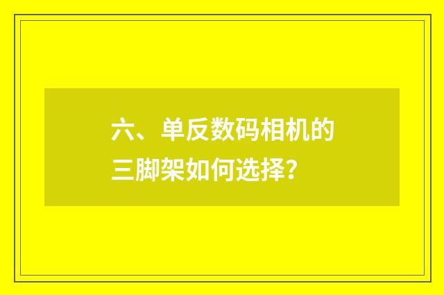 六、单反数码相机的三脚架如何选择?