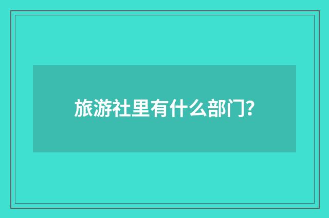 旅游社里有什么部门？
