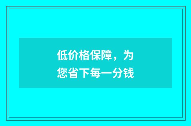 低价格保障，为您省下每一分钱