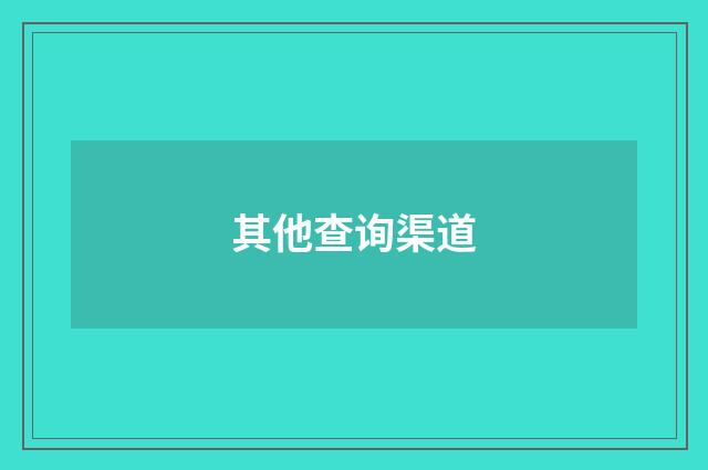 其他查询渠道