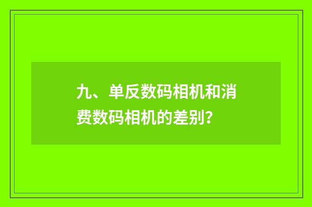 九、单反数码相机和消费数码相机的差别？